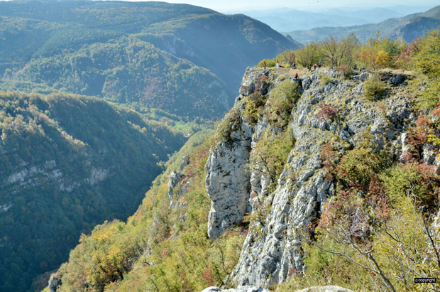 Београђани похрлили међу орлове (ФОТО)