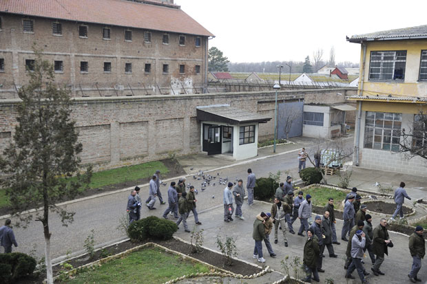 Последњи амнестирани излази 2019.