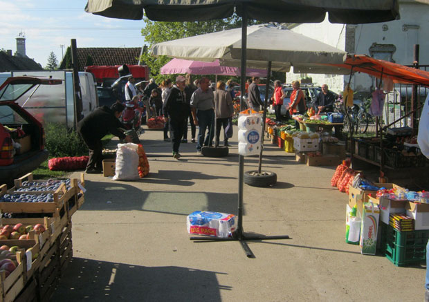 Гратис тезге у Змајеву праве хаос