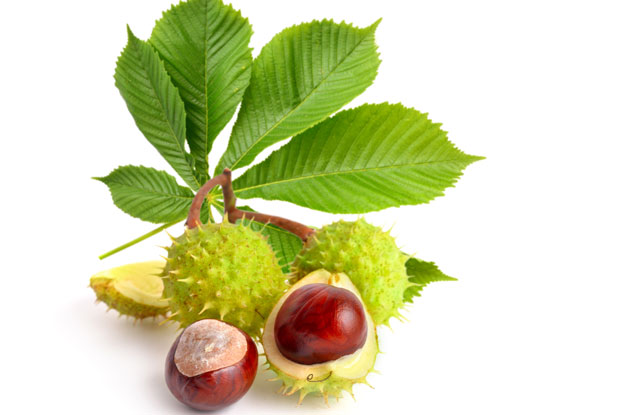 Кестен за јачу и сјајнију косу