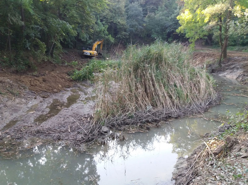 Каменички парк: Сјај зелене оазе