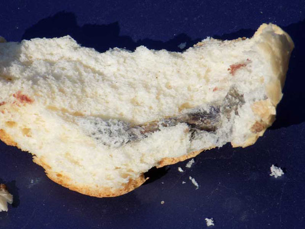 У хлебу нашли реп пацова!