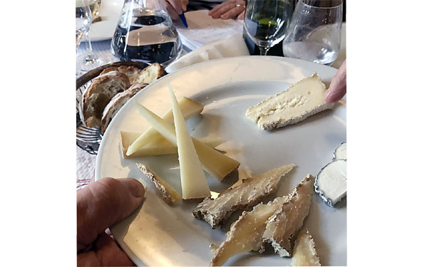 Сир и револуција