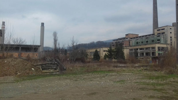 КРИК: Срби у Рајским папирима