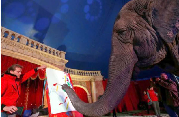 Слике слонице продате за 150 евра