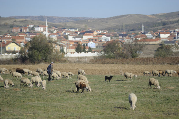 Нико да каже који су нам отрови годинама на трпези (ФОТО)