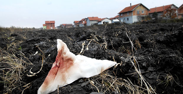 Стрпали га у гепек, па тукли у Борчи