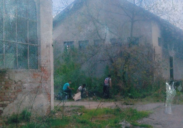 Петорка крала кров!