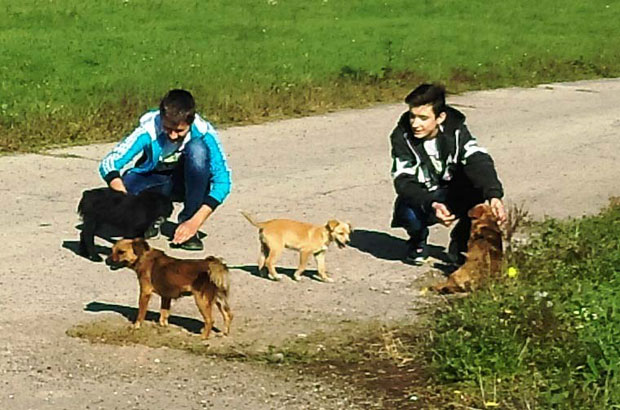 Ђаци праве топли дом за љубимце у Модричи