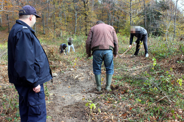 Осуђеници КПЗ Ћуприја пошумљавају Јухор