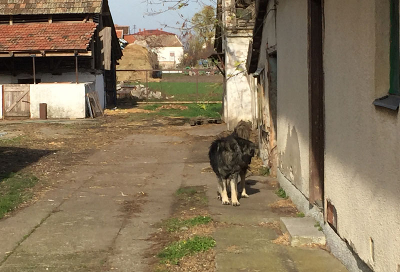 Ратков верни пас и даље стражари