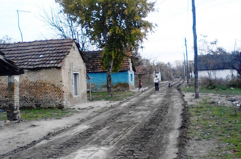 Руше чергу у мочвари