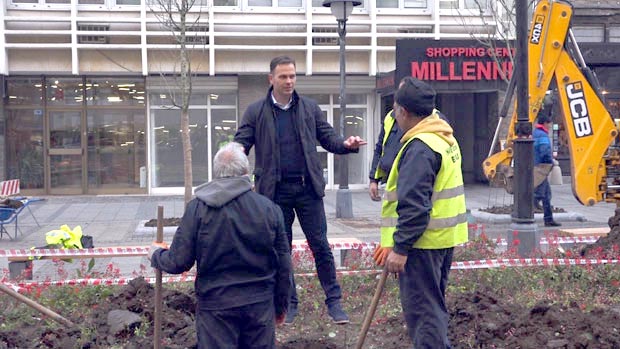 Дрворед на Обилићевом венцу