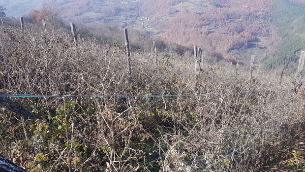 Малинари прете блокадом саобраћајница