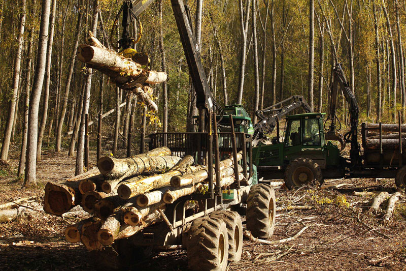 Шуме РС заборавиле да плате порез 