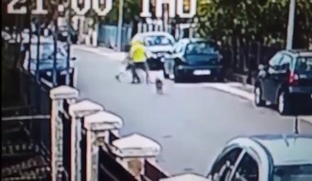 Подгорица: Пас херој спречио пљачку (Видео)