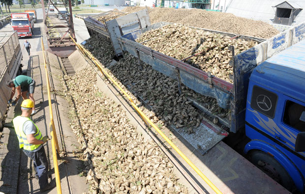 ЕУ неће потопити извоз нашег шећера