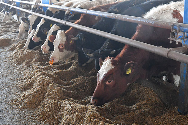 Са фарме у тетрапак