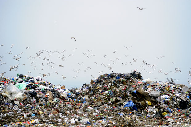 У Србији има до 100.000 тона опасног отпада