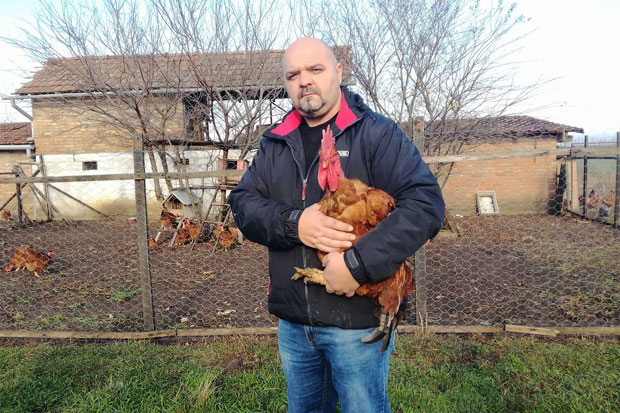 Петао Илија државни шампион