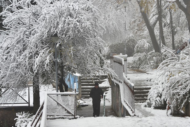 Весић: Београд потпуно спреман да изађе на крај са снегом