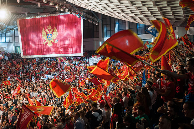 Милу подршка страначких одбора