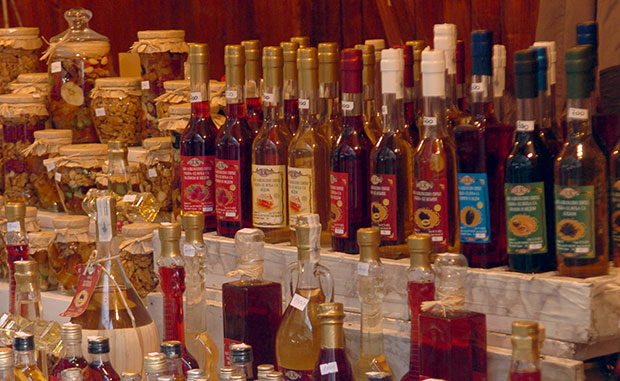 Папири коче чашицу