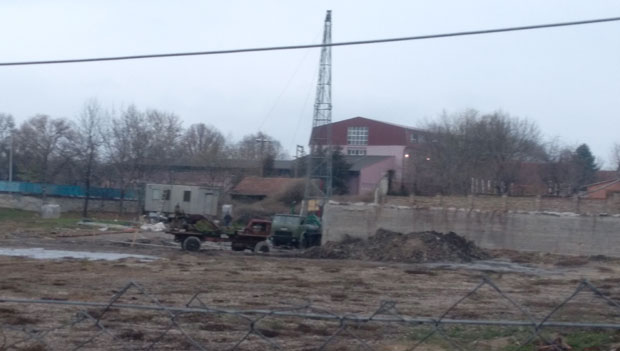 Венус ниче као феникс