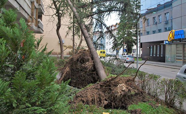 ОЛУЈА ПРОТУТЊАЛА КРОЗ РС: Ветар рушио стабла у Бањалуци, повређене три особе