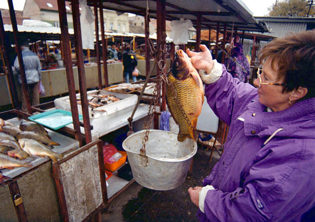 Београдске пијаце: По шарана код проверених трговаца