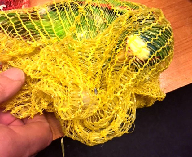 ЦАРИНИЦИ ЗАПЛЕНИЛИ ПАПАГАЈЕ: Кријумчарили птице умотане у плетене џакове за кромпир