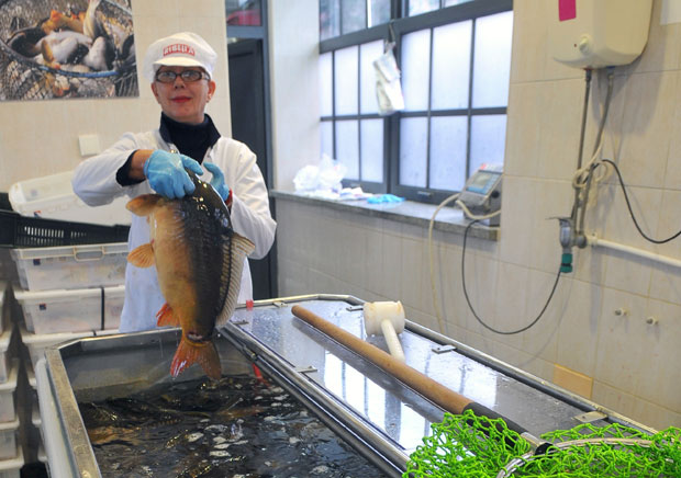 На престоничким пијацама здрава риба