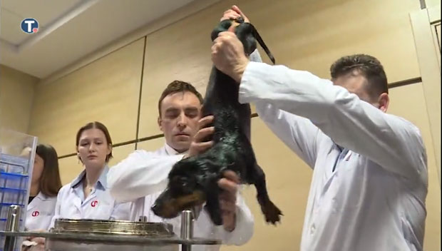 Вучић у посети институту: Рускa течност у којој се дише (ВИДЕО)