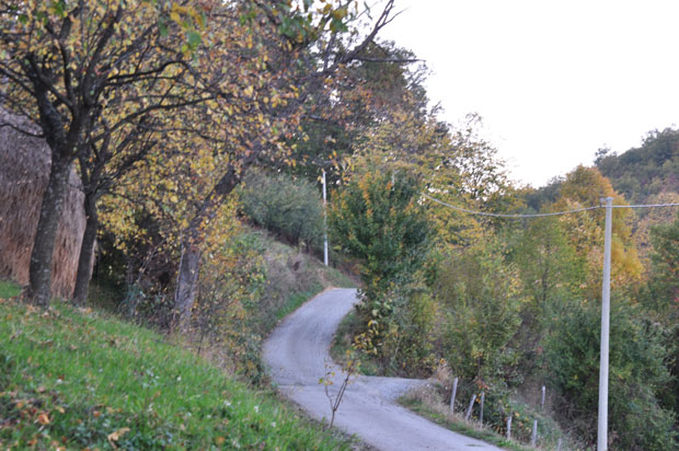 Комшије обљубиле девојчицу