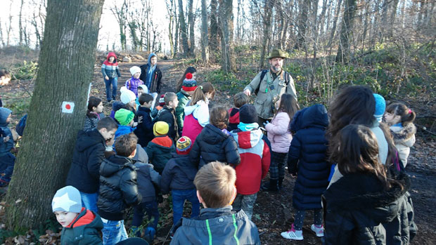 Потрага за благом на Авали