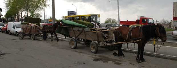 Софија протерује запреге са улица због председавања ЕУ