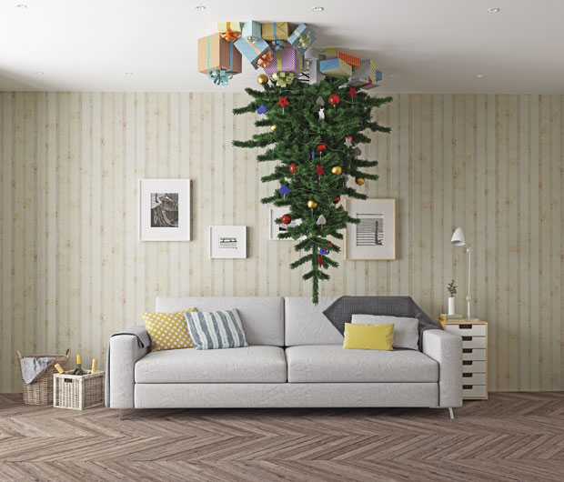 Јелка 11 милиона $