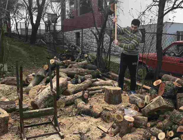 Шпијунка: Дрва па пршута за Миљана