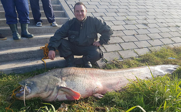 Игор и Младен савладали сома