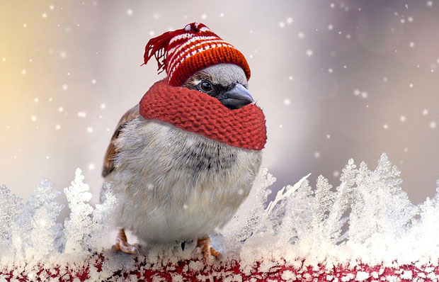 Ево какво нас време очекује