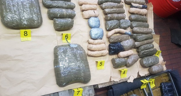 Српски узгајивачи „задимили“ пола Беча 