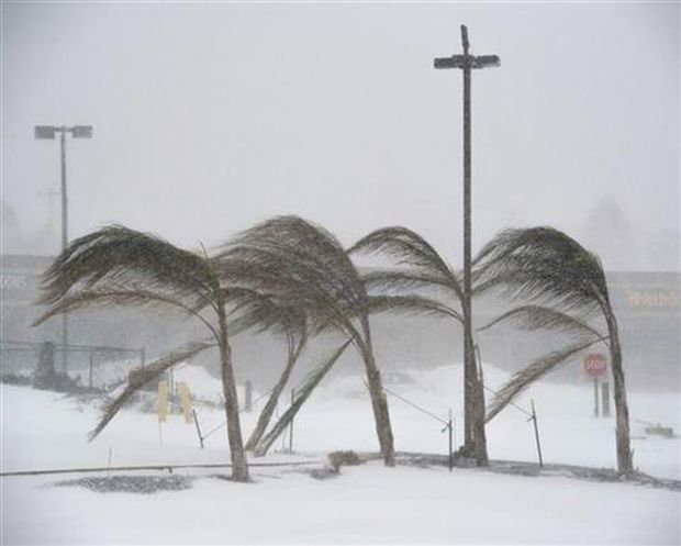Североисток САД на удару метеоролошке циклон бомбе, отказани летови, игуане се смрзавају
