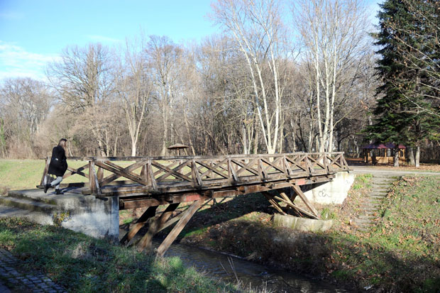 Руше дрвени мост у Топчидеру?
