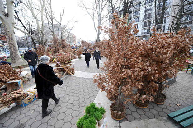 Престоничке тезге пуне, цене скочиле