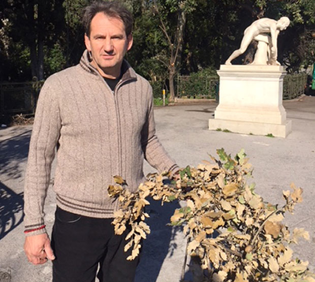 За Србе у Атини нема бадњака без Боже