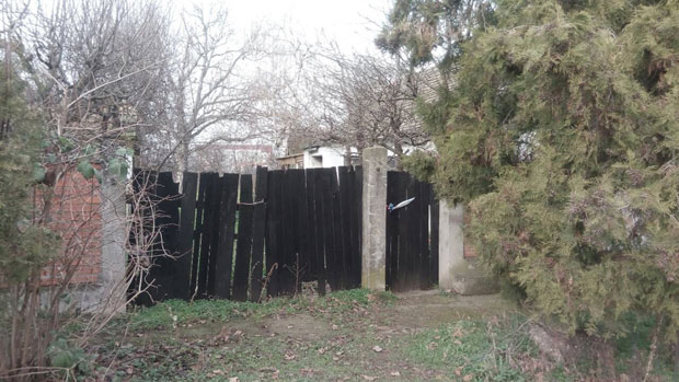 Лазо би сачувао главу да није стално причао о новцу