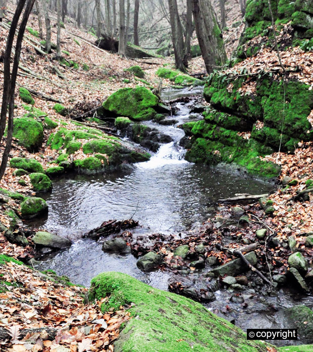 Кањон под древним градом