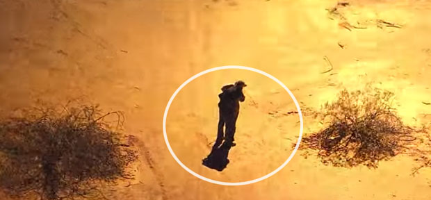 РОМАНТИЧНИ КРИМИНАЛЦИ: Страствено се пољубили пре хапшења (ВИДЕО)