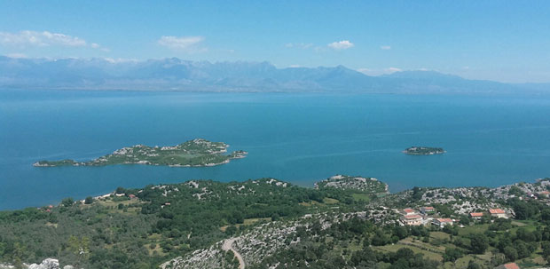 Више их је у Америци него у родном крају