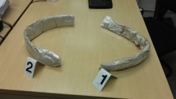 ЗАПЛЕНА ДРОГЕ У ПРОКУПЉУ: У грудњаку путнице пронашли хероин (ФОТО)